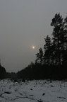 2010 01 24 Gr nkohlwanderung zum Waldkindergarten in Lachendorf 020